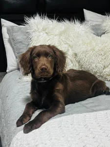 Yo y Motita de Pekithax  Imagens