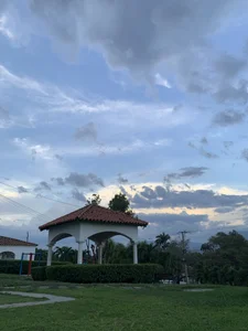 Public de floweer_  Imagens