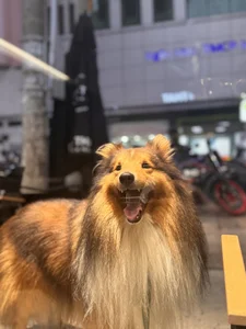 Lil_asianxyz Public Foto