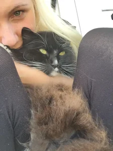 lilleambiのPublicの枚の写真