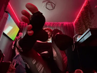 NessaLuxe My paws Hình