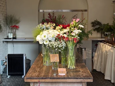 Public de -momoo- Foto