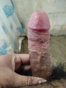 maynor1233のMi vergaの枚の写真