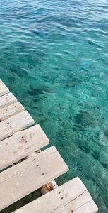 AlanaSofiiaのHolidays!の枚の写真