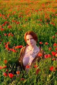 In the poppy field