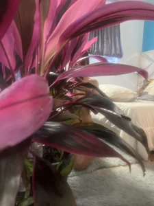 Selena_G69 From my mobile phone! Poză 8