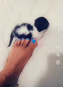 Looking4Jerries Public Pic 3