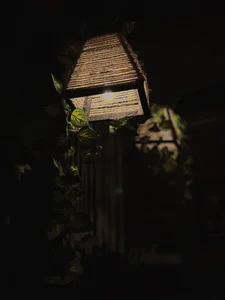 soidai_miiu Landscapes 🌞❤️ Εικόνα 4