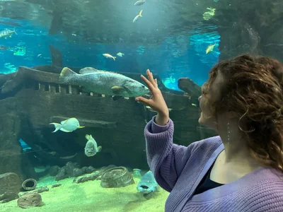 KRISTY_01のPublicの枚の写真