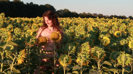 yulladao tournesol 圖片 4