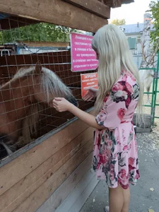 KyliePagFavorite animals Bild 2