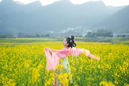 Amireux-8Public图片