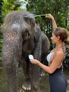 AvaHeath Barefoot Bliss in Bali Pic 4