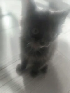 Public od welcomepirncess  4 snímek