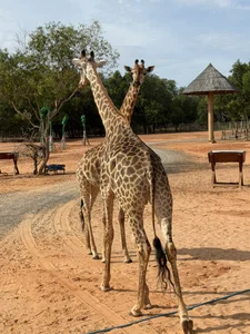 AnitaOwens Vietnam 圖片 5