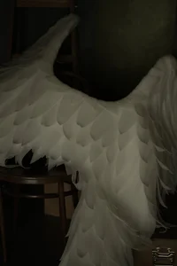 KarolinaRobinson miss  2. fénykép