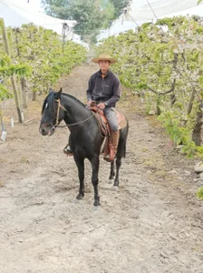 mis fotos de Felix_Thunder  3 Imagens