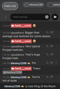 hard___cock Glimpse from a live chat Immagine  4
