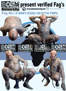 object857 exposure зображення 2