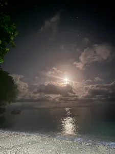 TS-SimplyTheBestJust a girl who simply love ocean 🌊 Bild 4