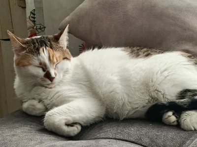 charlloteevans_X Michis صورة واحدة|charlloteevans_X Michis صورتان|charlloteevans_X Michis  6 صور|charlloteevans_X Michis  6 صورة