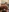 PixieLand's photo