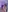 EmilyTurneer's photo
