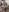 HairyEbonyCoupleliveporn's photo
