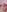 Evelynn's photo