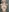 an attempt to surprise you with photos