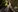 LaraQ's photo