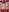 keyli_ink's photo