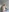 blessbinny's photo