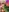 Pancake_Reciper's photo