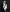 Eistra's photo