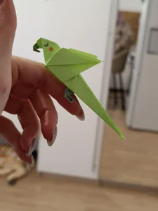 _HelenCarter My origami Pic 2