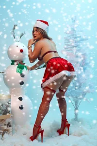 allisson_mのMerry Christmas 🎄🎁の 3枚の写真