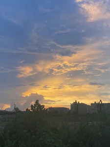 jeff_ross 🌅 사진