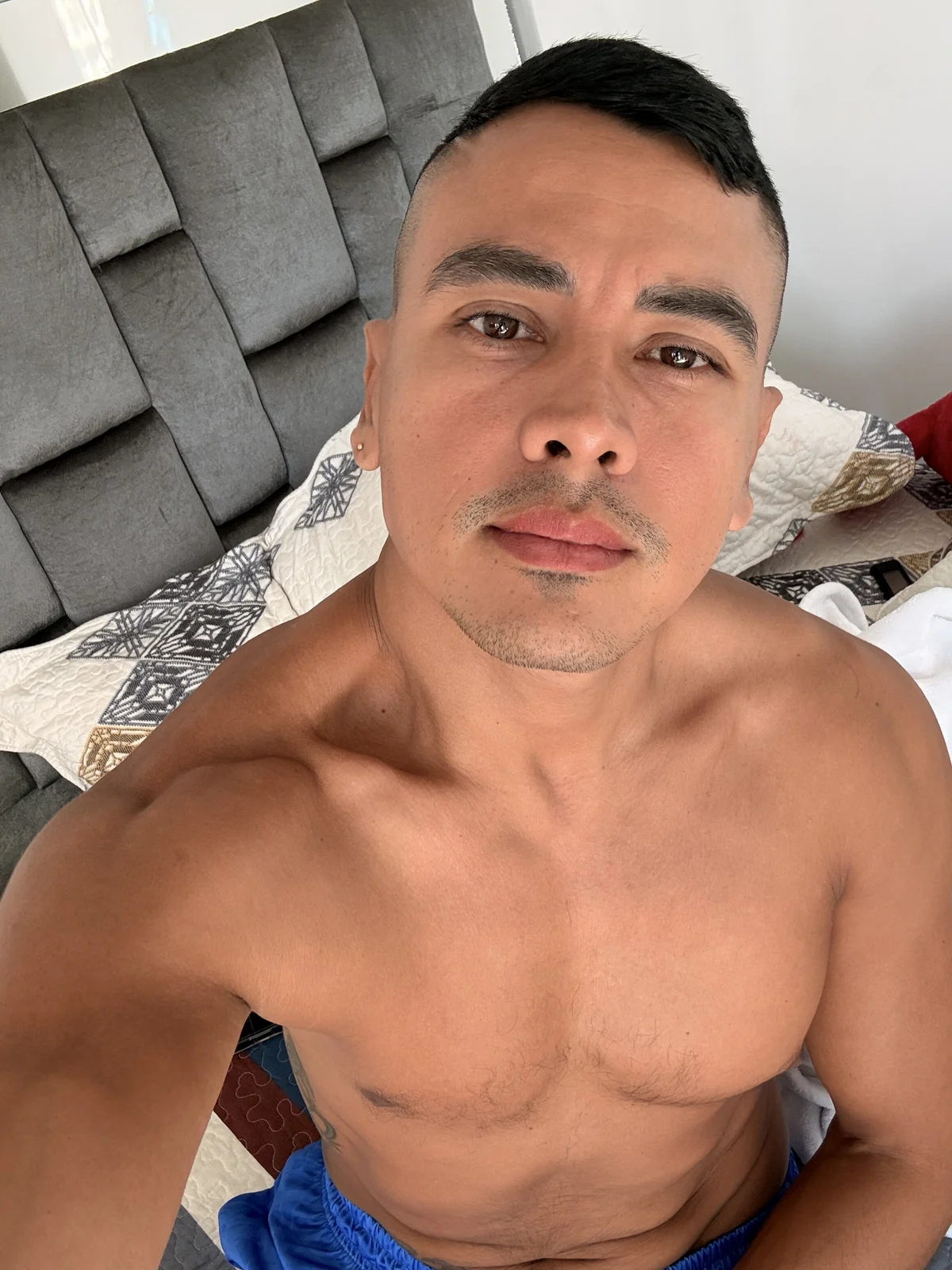 Paul22cm- Trendy obrázky 3174