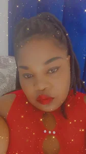 BBWMIDGET40 Public slika 3