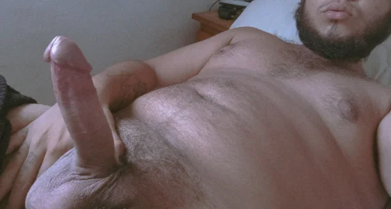 Tugor2_ BearDick Gambar 2