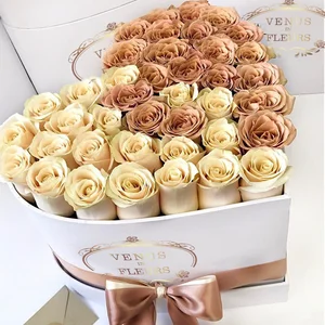 BabyFlowerr What i like Hình