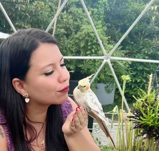 valle_salvaje Historias зображення 6