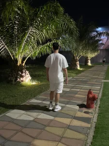 white night