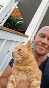 BigSweVikingRandom Bild 3