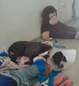 Babba_yagga a beautiful and brave angel!! Pic 4