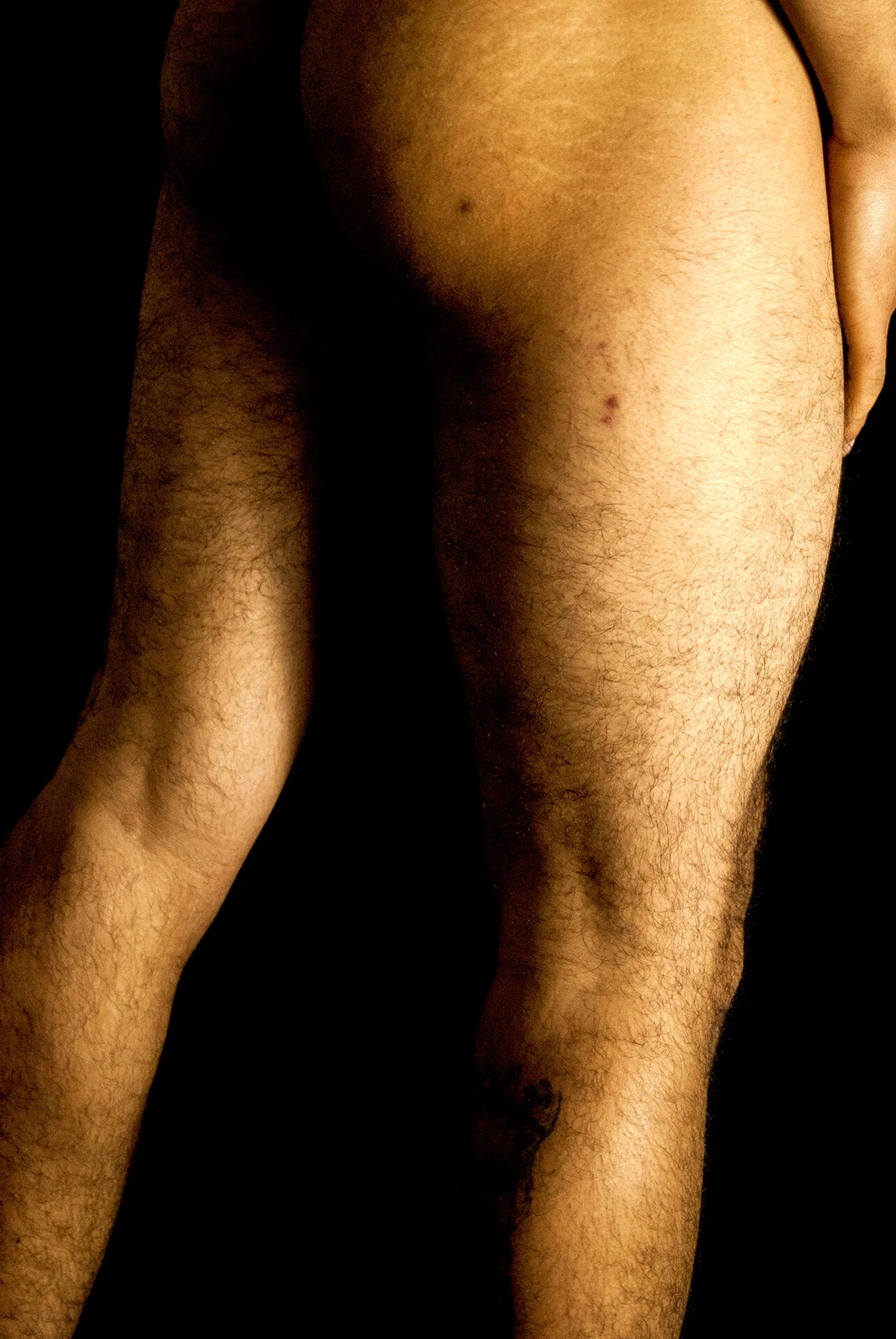 Трендове зображення  7044 Adonibaskerville4