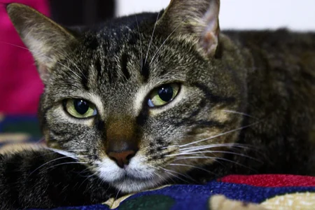 Daiisy_kiss: Our love ( фото)