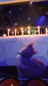 anaroman01 Day at home ✨ Pic 5