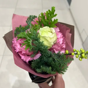 --Kimi Public صورة واحدة|--Kimi Public صورتان|--Kimi Public  2 صور|--Kimi Public  2 صورة